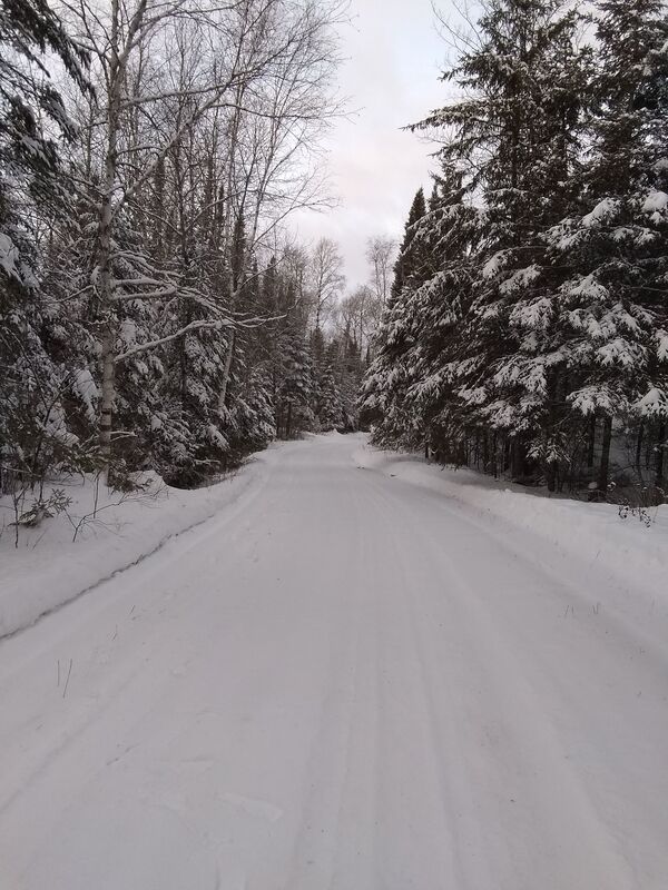 Winter