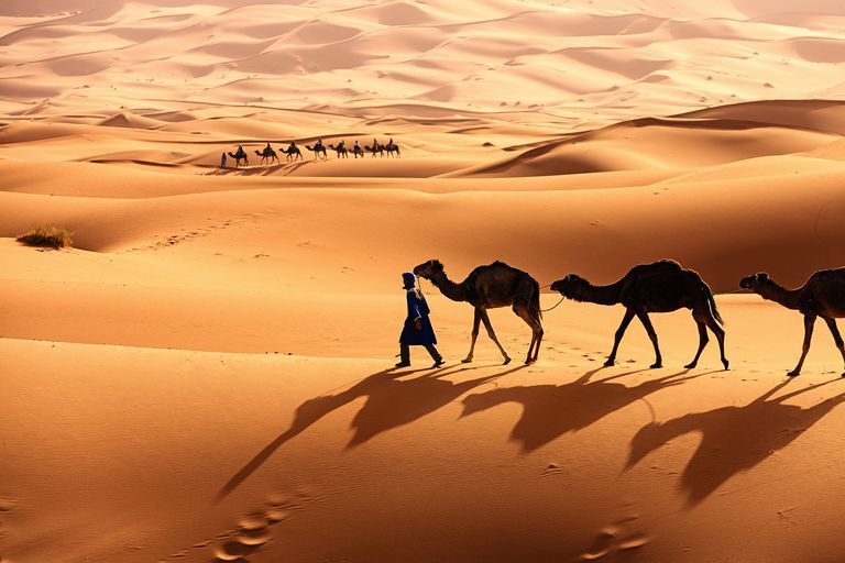 The Sahara Desert?