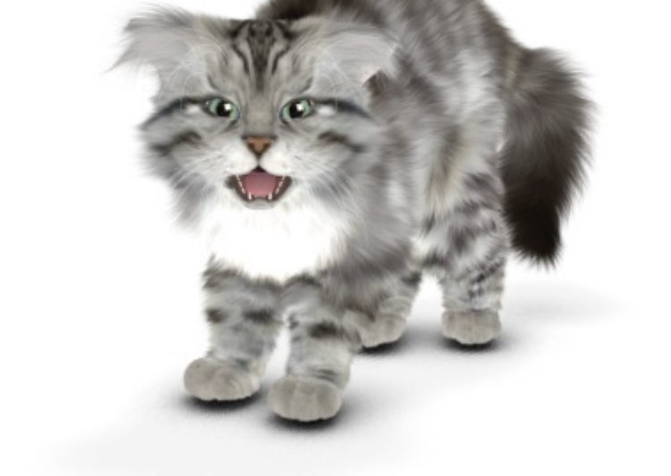 Little Kitty May
