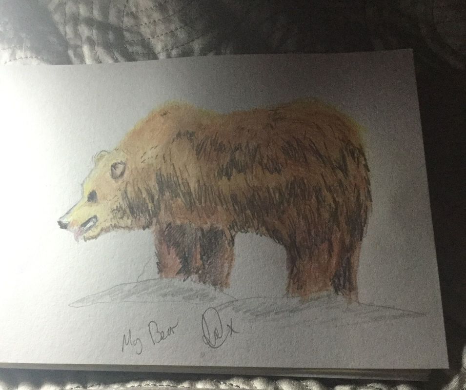 Bear