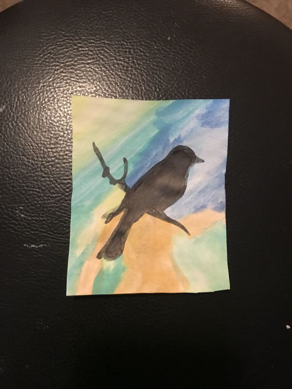 Robin