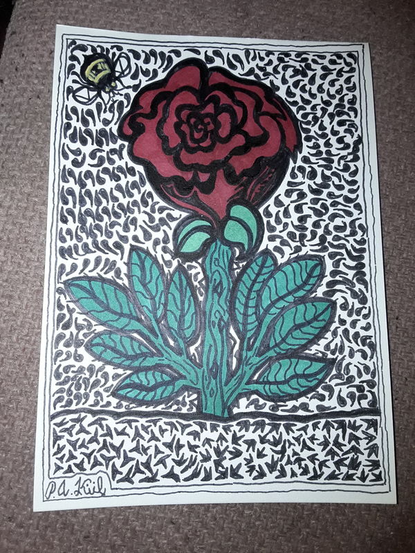 Rose