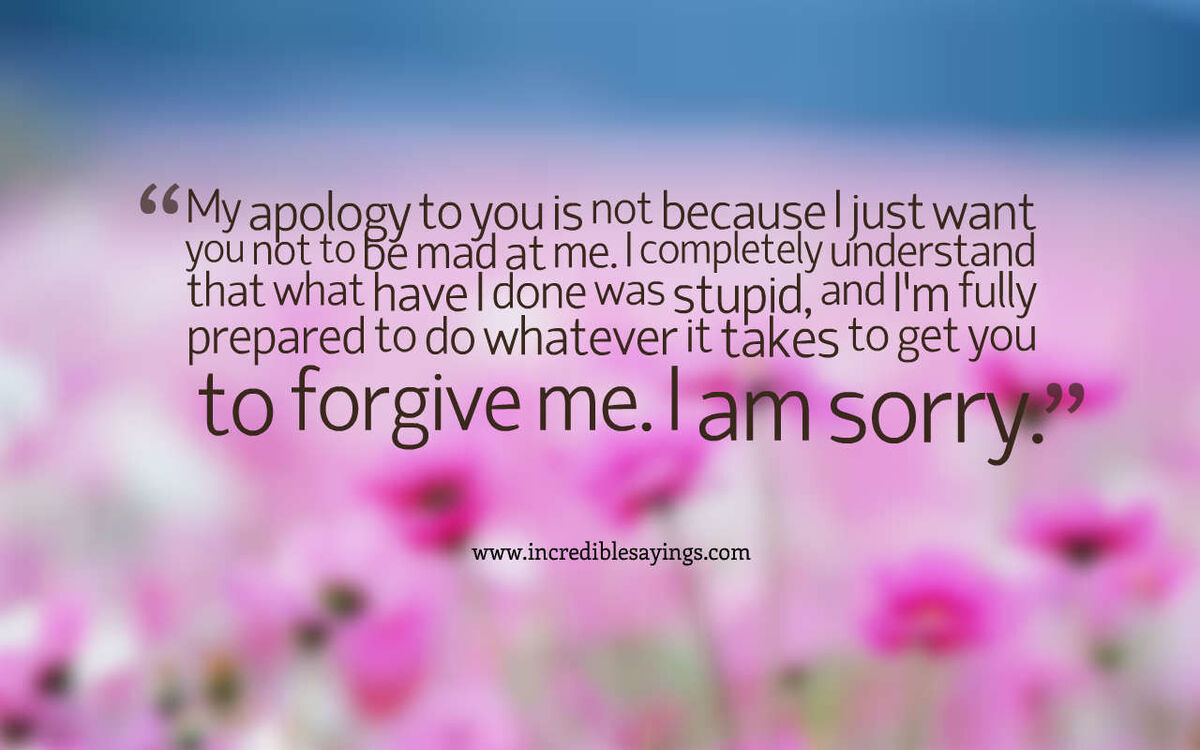 &quot;My Apology&quot;