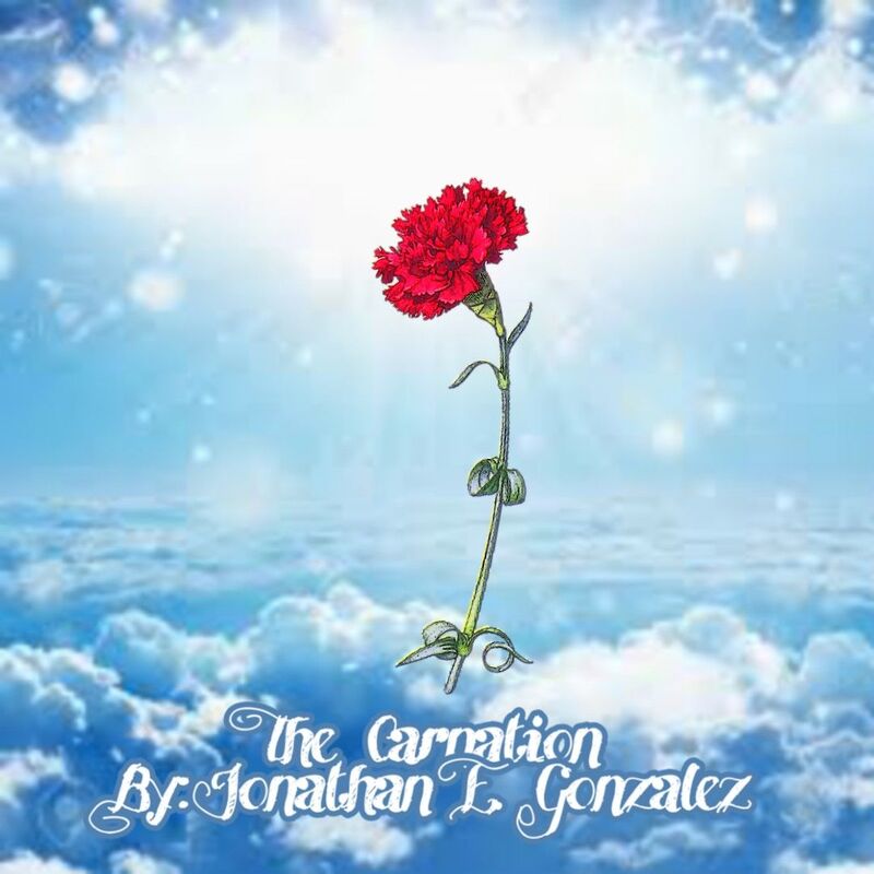 The Carnation