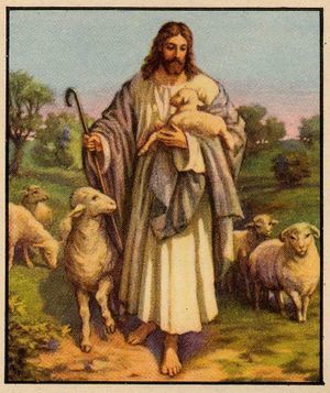Shepherd 