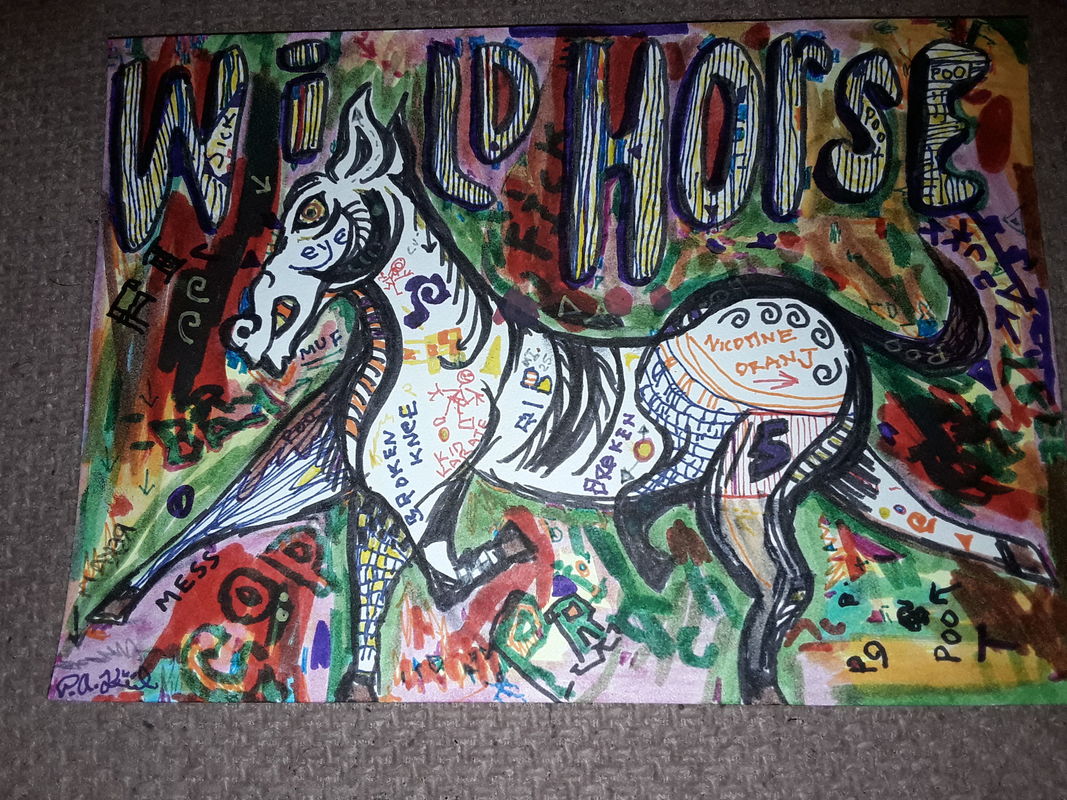 Wild horse 