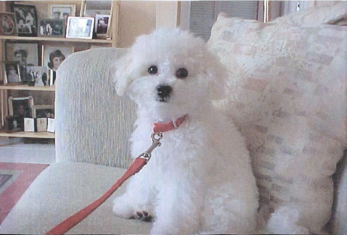 Four Years Without You