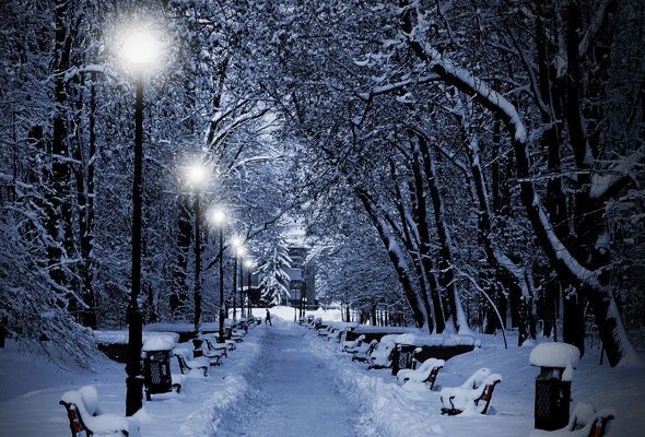 Falling Snow