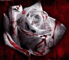 This Quiescent Flower, Ever Bleeding