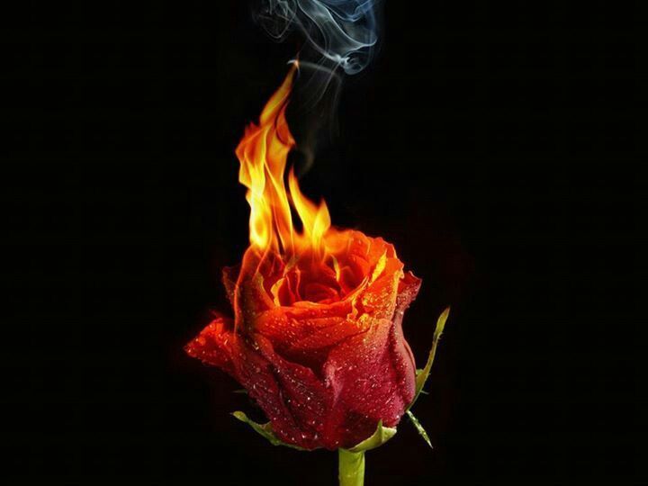 Pyrophilia