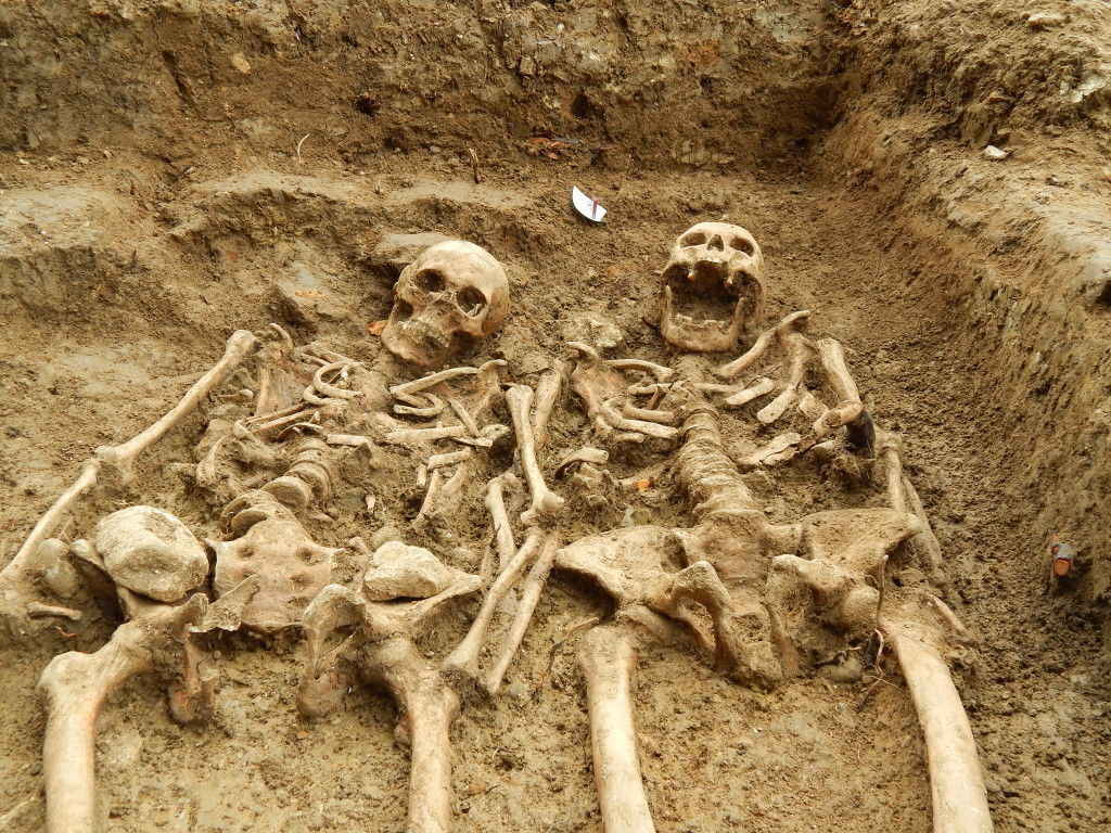 'Til we're dust