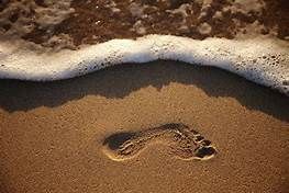 Footprint