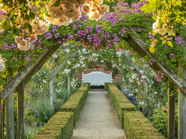 When the flowers bloom