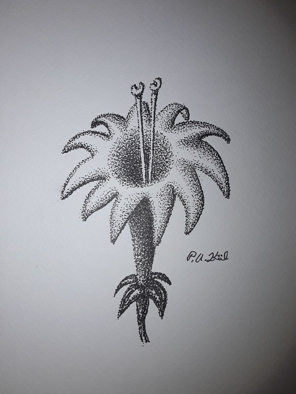 Yet another flower 