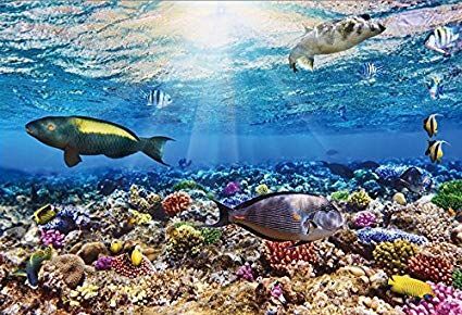 borne of the waters