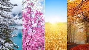 THE FOUR SEASONS