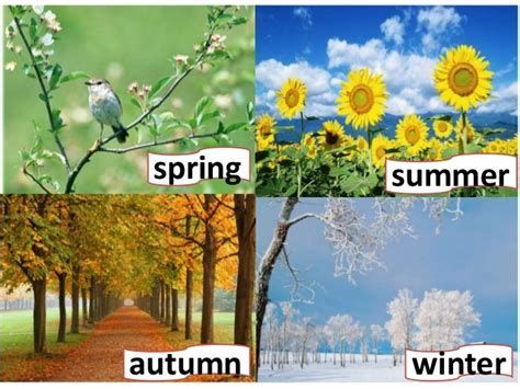 Seasons