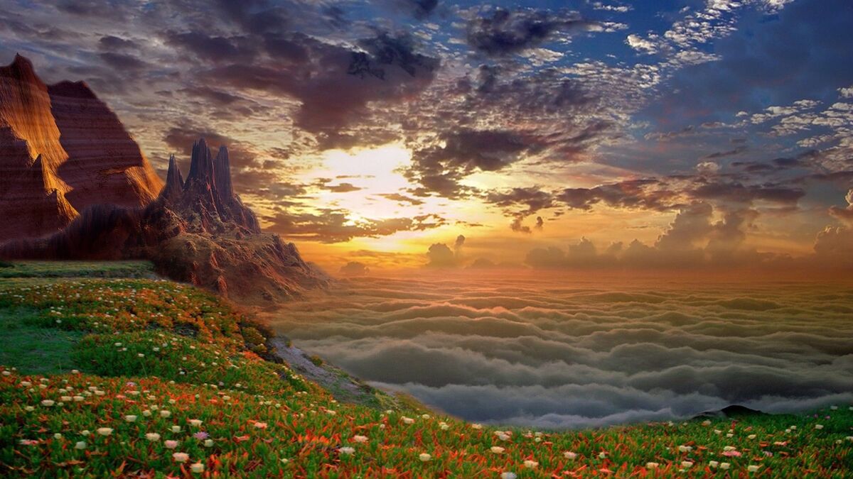 THE JOURNEY OF LIFE