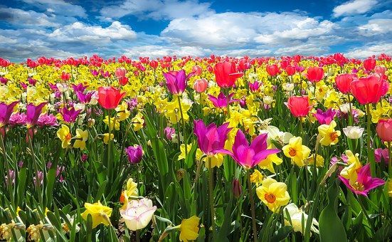 Spring