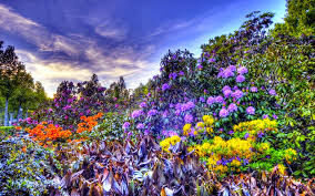 I long for spring
