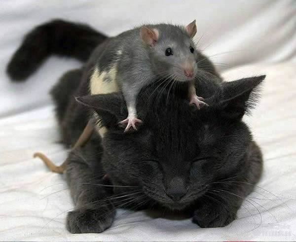 A DEPOSIT OF OPPOSITES