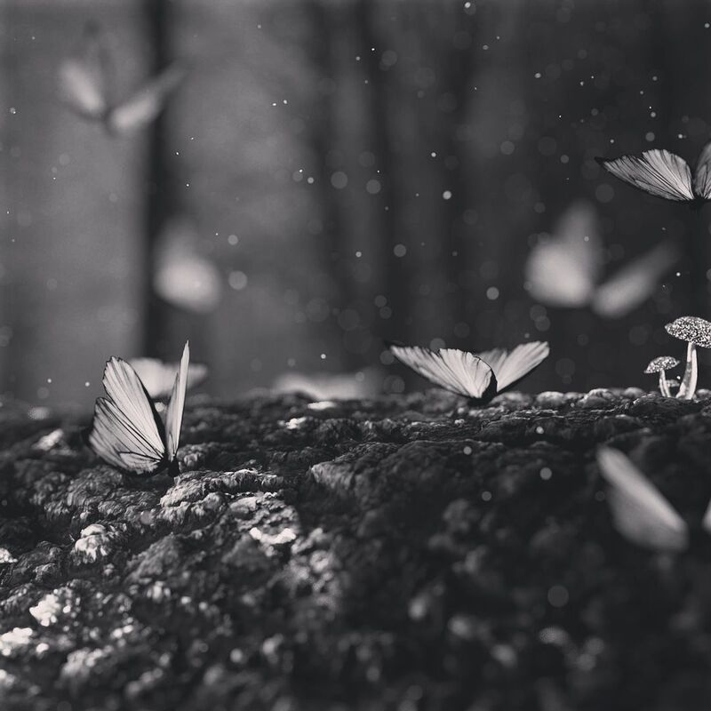 Story Waiting to Unfold 