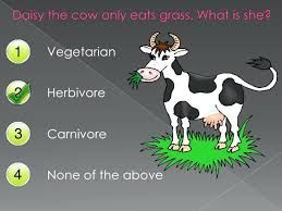The Carnivore Within...