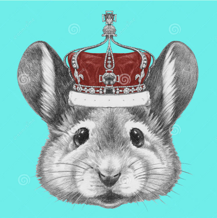 The king , the mouse .. and the very untidy house