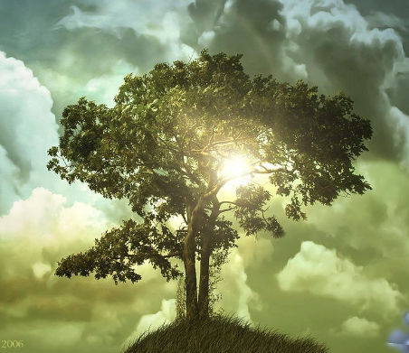 Turn Your Lows To Highs