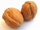 Whispers of A Walnut