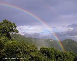 That day called hope