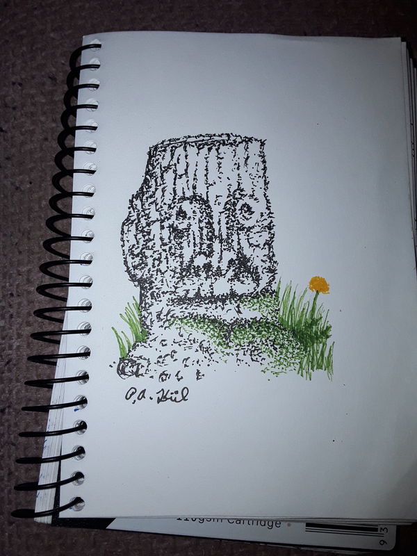 Stumped 