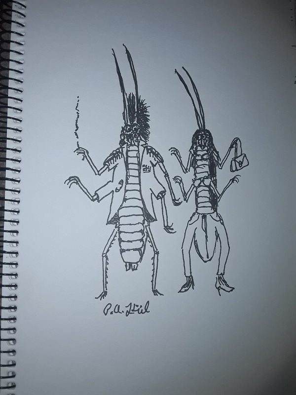 Punk bugs 