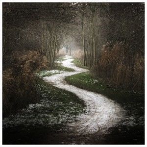 The Pathway