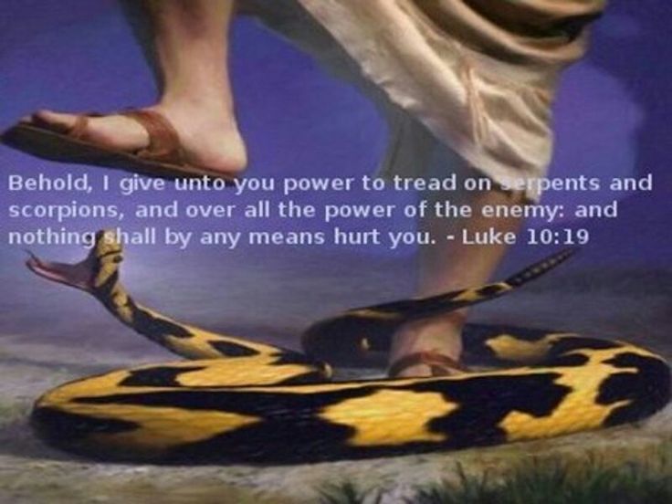 "That Serpent Thought"