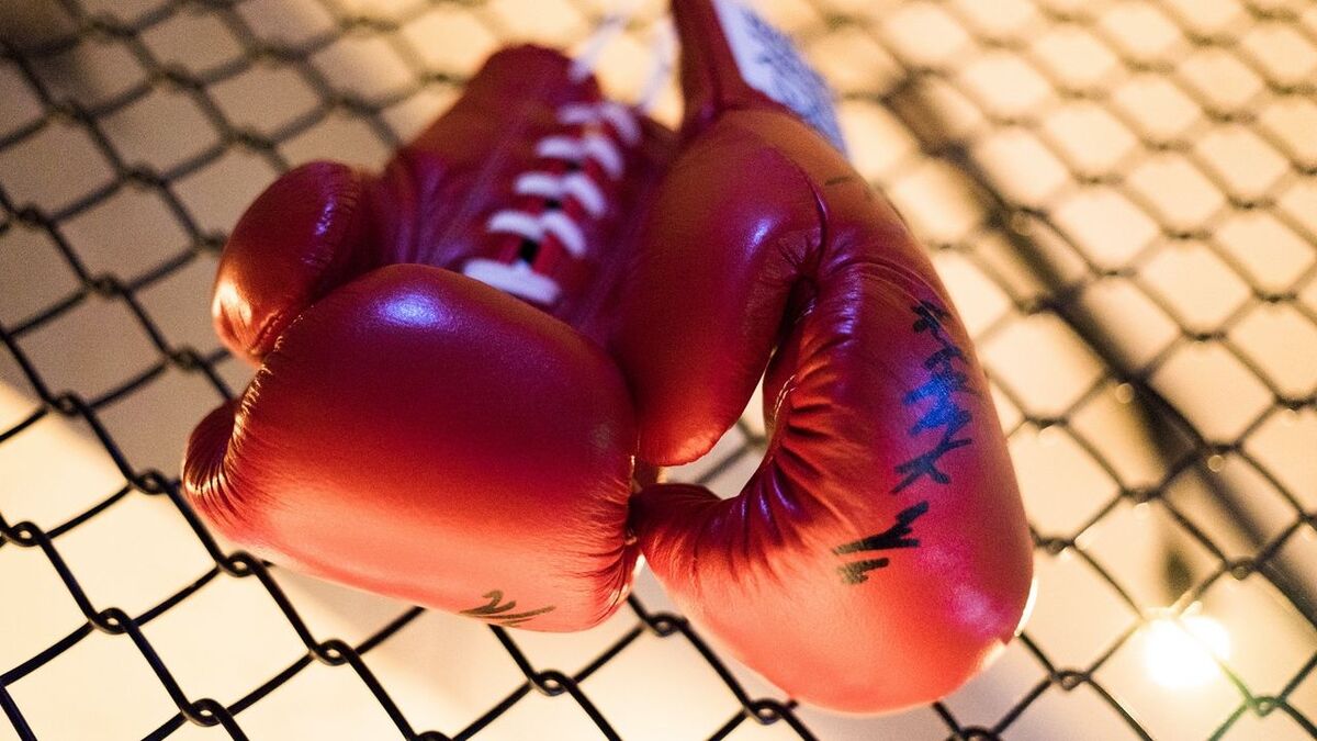 Boxer