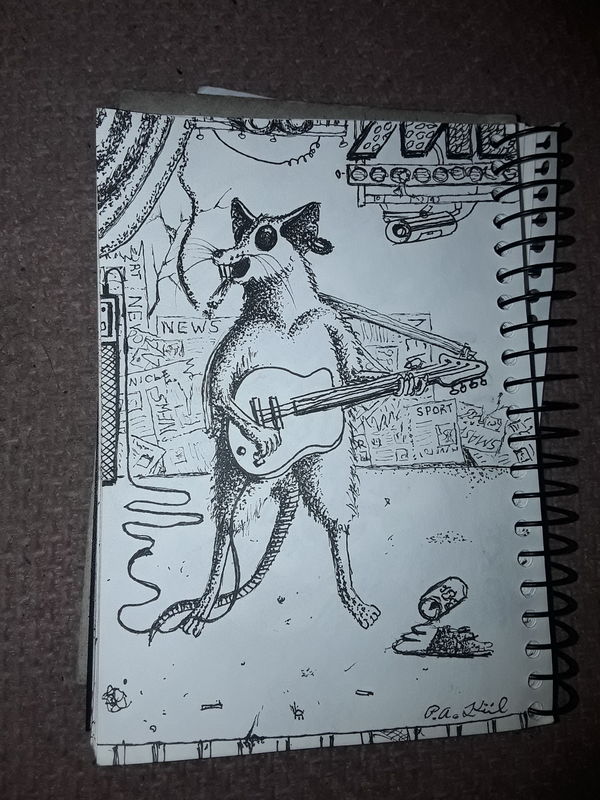 Rocker mouse