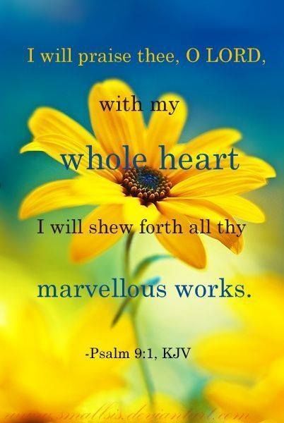 "This Whole Heart!"