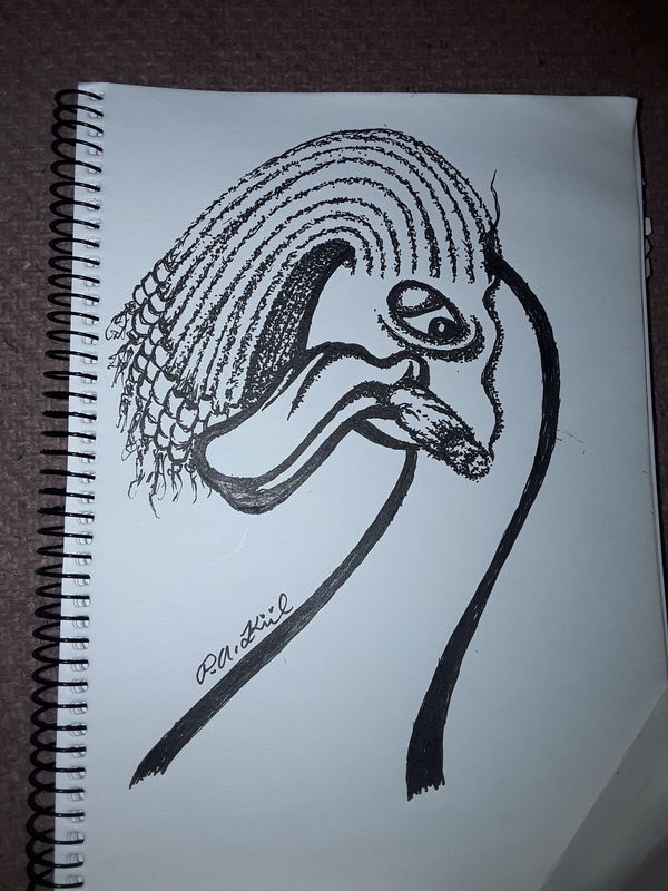 Rasta duck