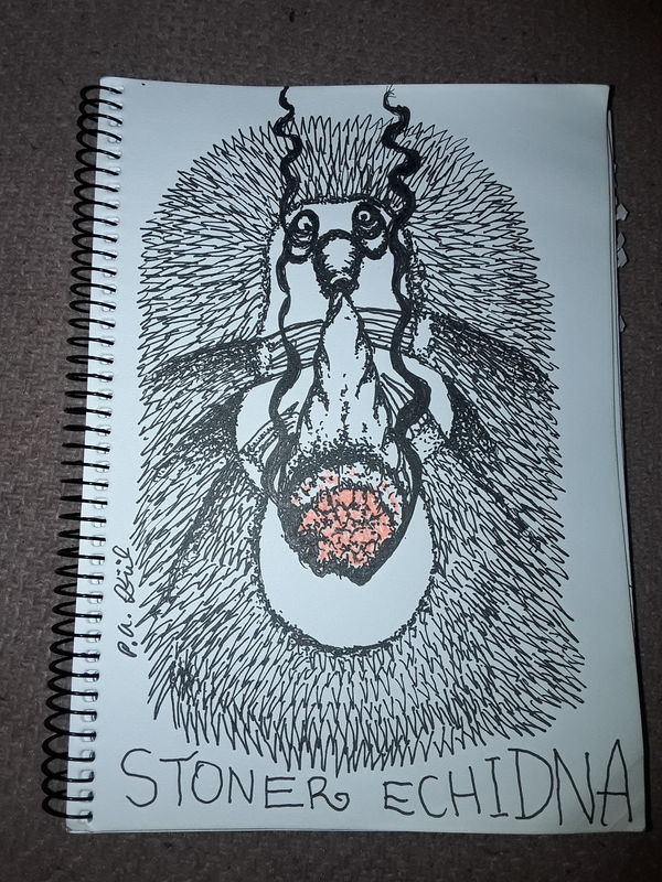 Stoner echidna