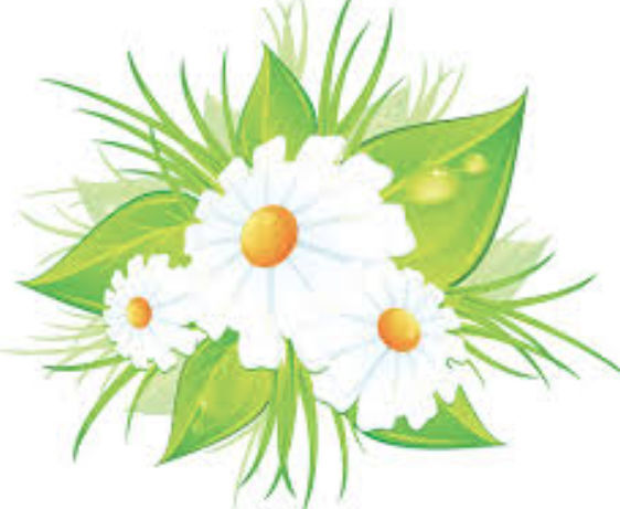 Oops A Daisy