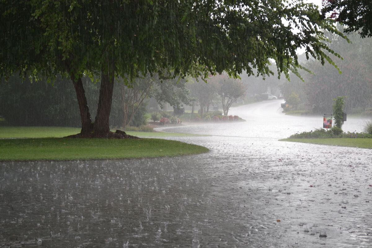 The Rain