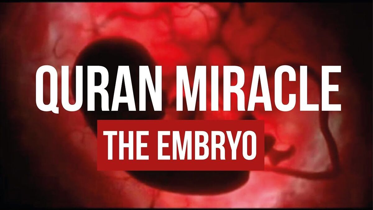 The Three Dark Stages of the Baby in the Womb (Scientific Miracles of the Holy Quran)