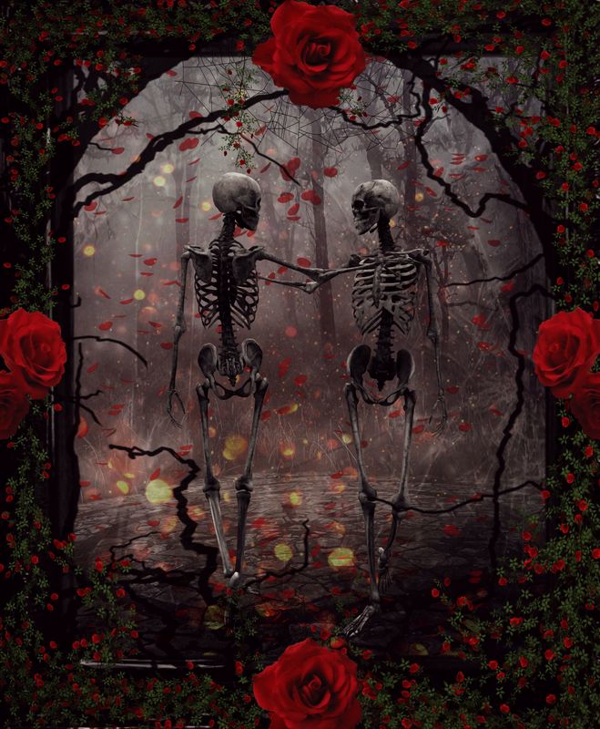 In Search Of The Everlasting