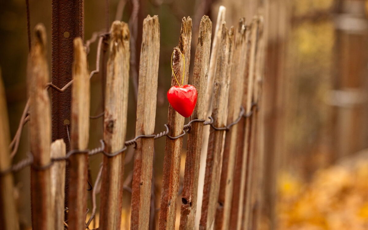 Lover's Lament