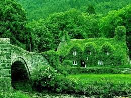 ~ So Ever Green ~