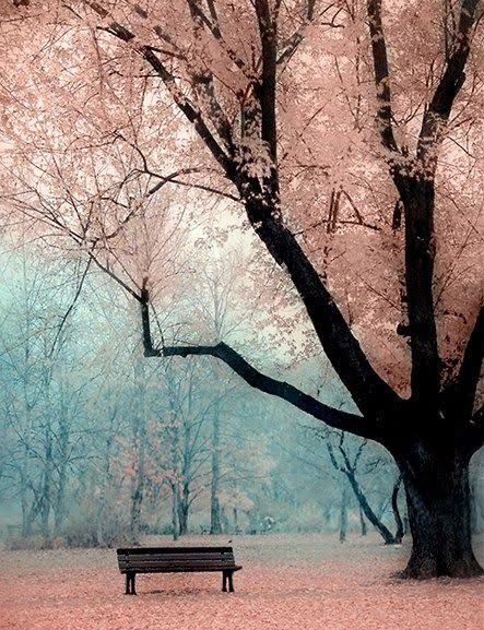 The whisper of love - it can be heard.