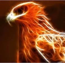 The Phoenix