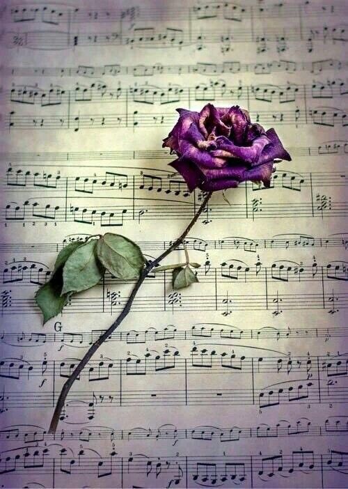 Beautiful