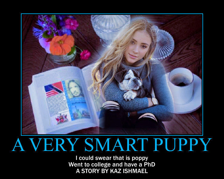 A very smart puppy